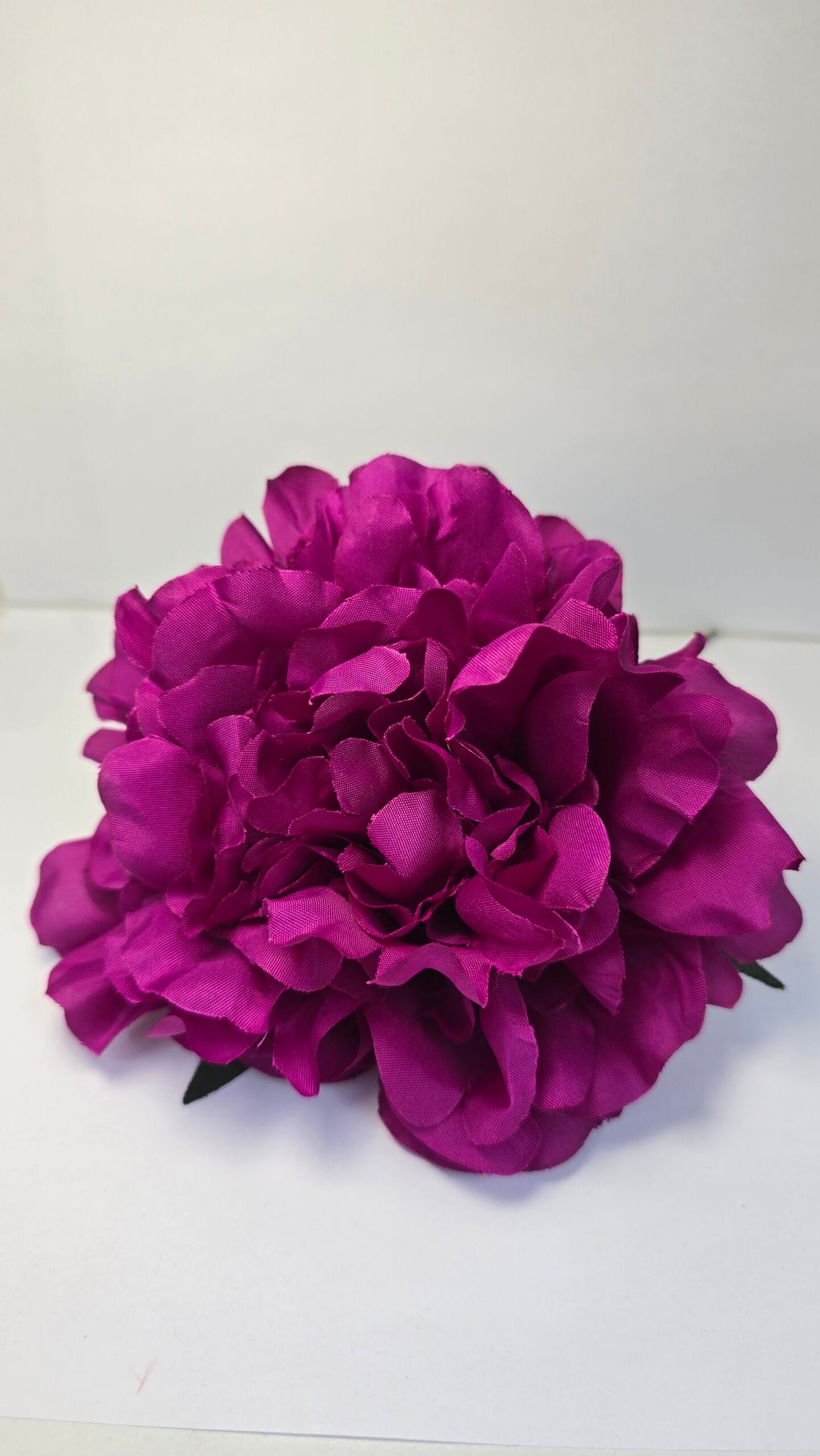 Peonia Buganvilla