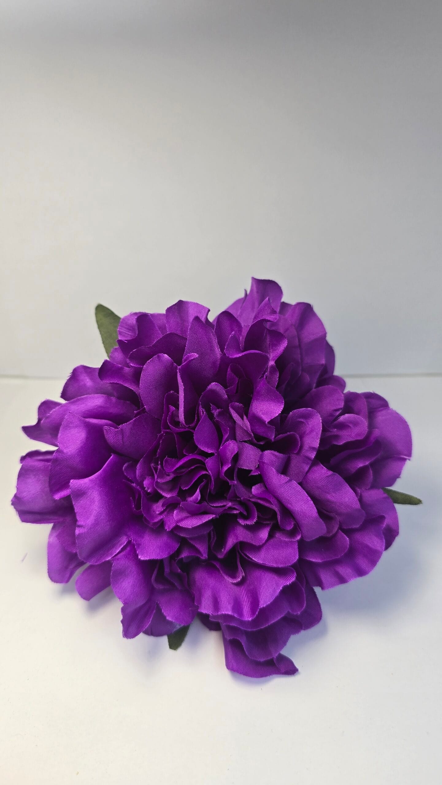Peonia Morada